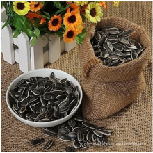 Wholesale top high quality bulk sunflower seeds from Inner Mongolia